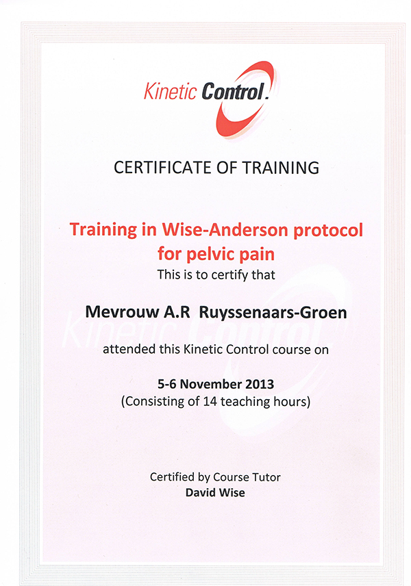 cerificaat-David-Wise-2013-klein