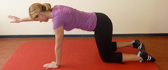 stabiliseren-kruiphouding-2